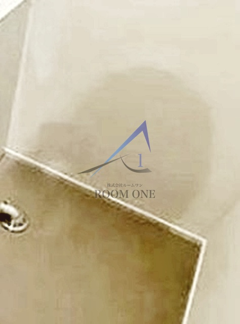 ラ・ルーチェ千寿の設備|洗濯機置き場です。