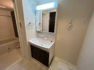 プルトワの洗面所