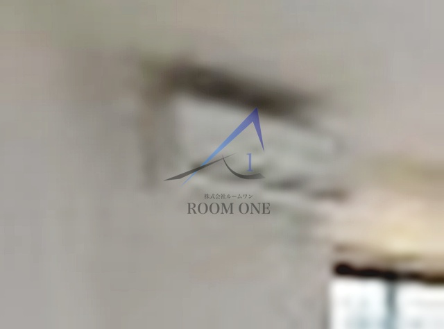 Ｈａｒｅｎｏ　Ｖｉｌｌａ