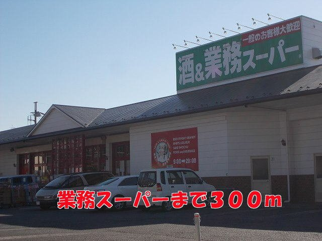 フェリーチェの周辺|業務スーパーまで300m