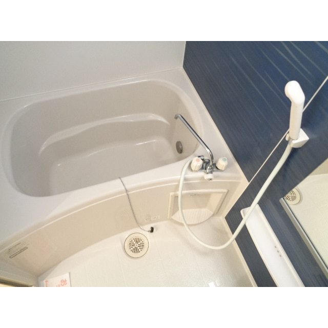 エレガンシアの浴室