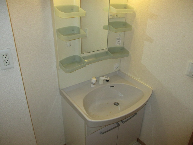 メゾンドフルーレＡの洗面所