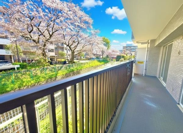 中山パーク・ホームズのバルコニー|明るく広いバルコニー♪
春は桜が望めます！
