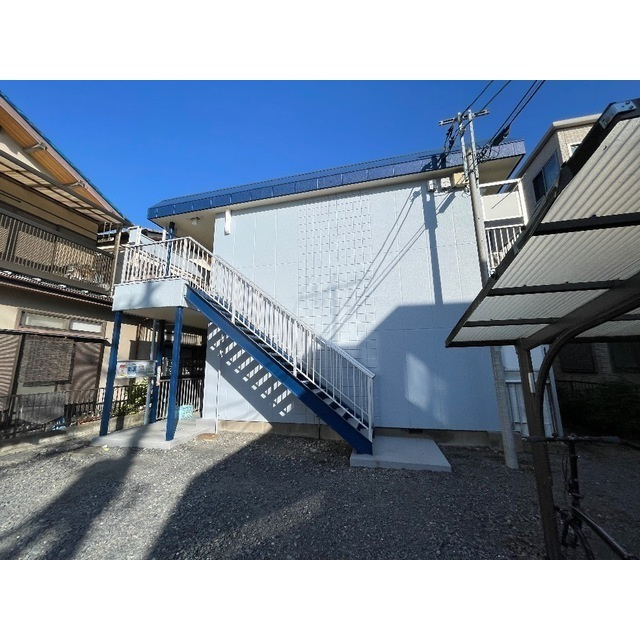 ホワイトバレー