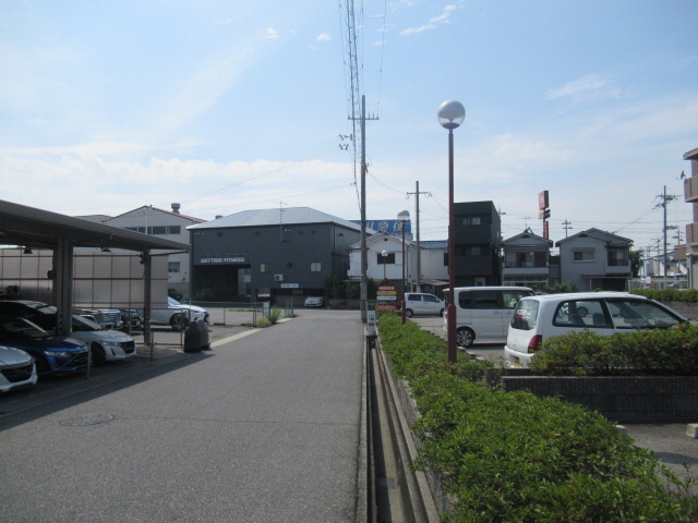 ピュア・プルーンの展望