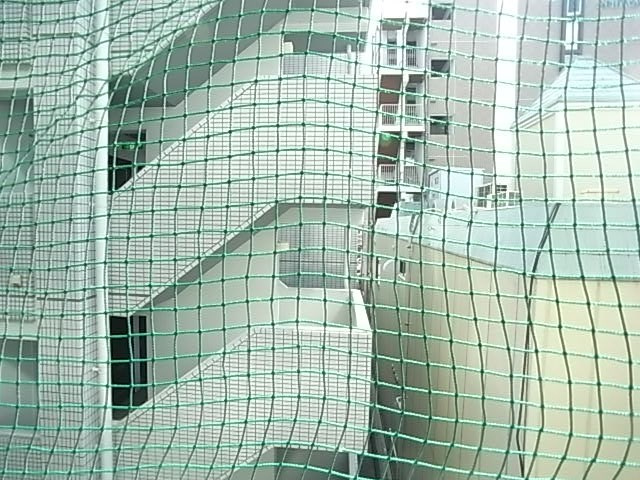 アドウニスの展望