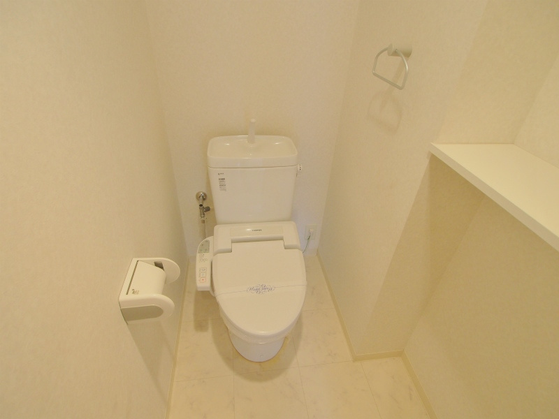 広島市安佐南区大町東３丁目の賃貸マンションのトイレ