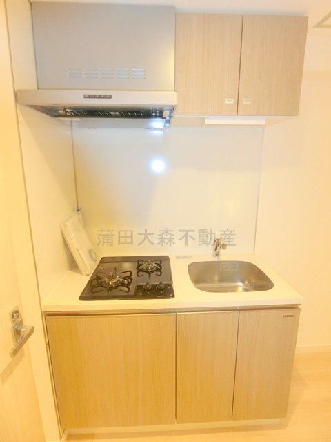 プレール・ドゥーク池上Ⅱのキッチン|2口ガスシステムキッチン