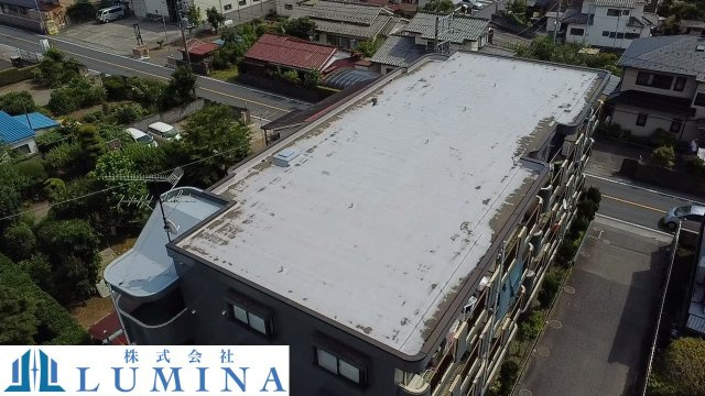 グリーンマンションのその他