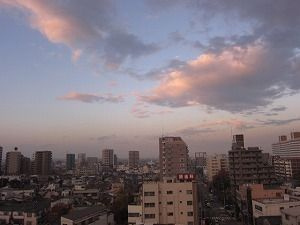 アルテシモイズムの展望