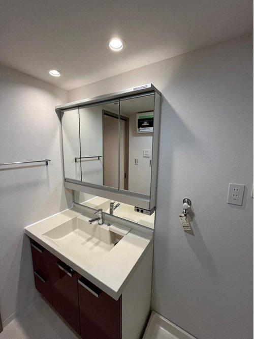 ルイシャトレ香櫨園の独立洗面台