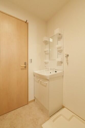 アヴェニュー高島の洗面所