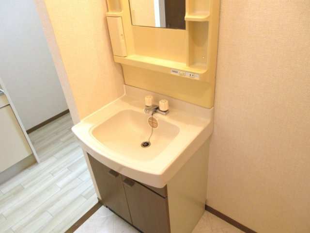 プレミール秋の独立洗面台