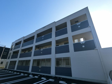 Juhamoaの画像