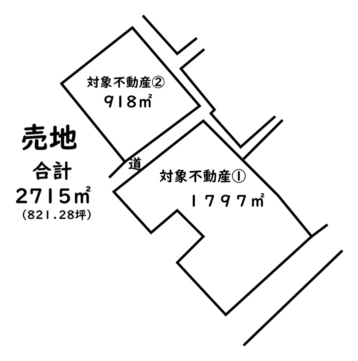 埼玉県秩父市上影森　事業用地の土地図