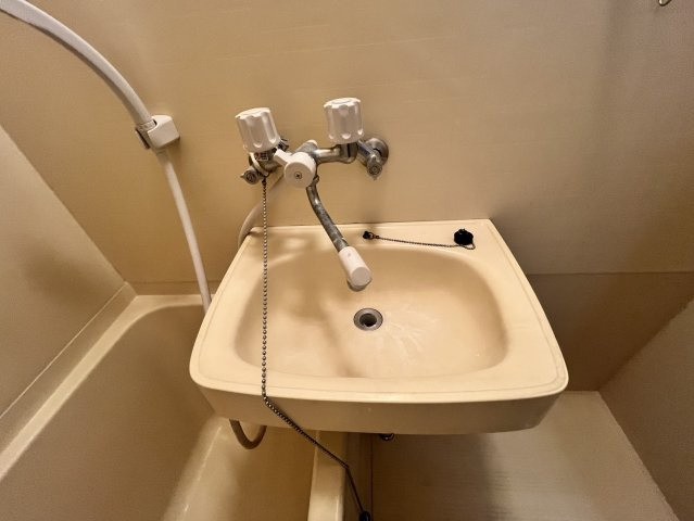 ビラ菱屋西の洗面所