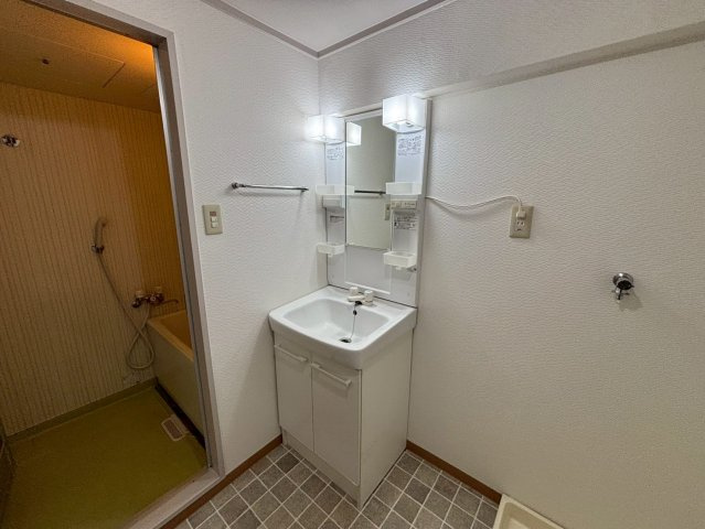ブエナビスタ姫路青山ウエストの洗面所