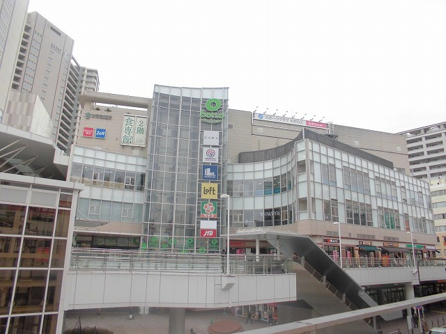 ベルテックスの周辺