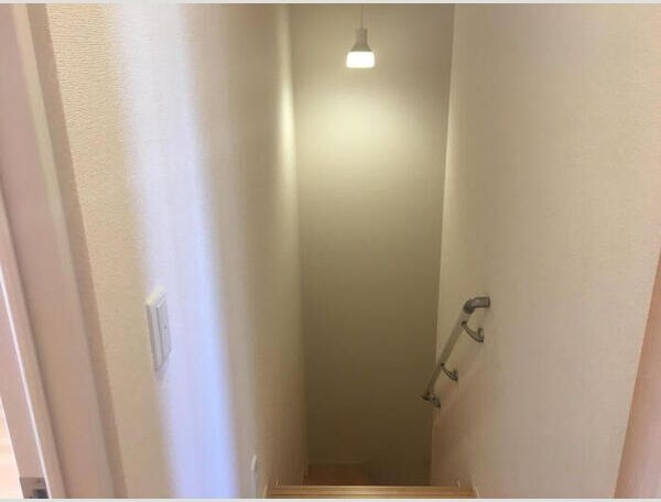 ルミナスのその他