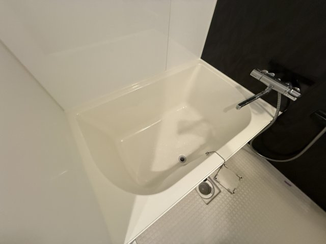 クランエシオの浴室