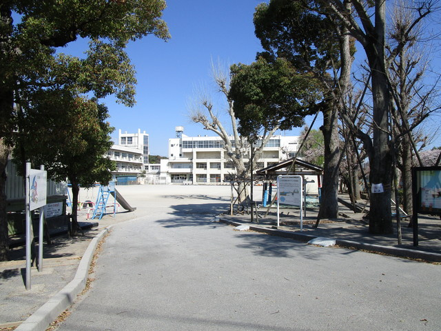 メゾン　グランデュールのその他|市川市立真間小学校