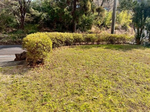 【庭】 | 伊豆高原分譲地　戸建