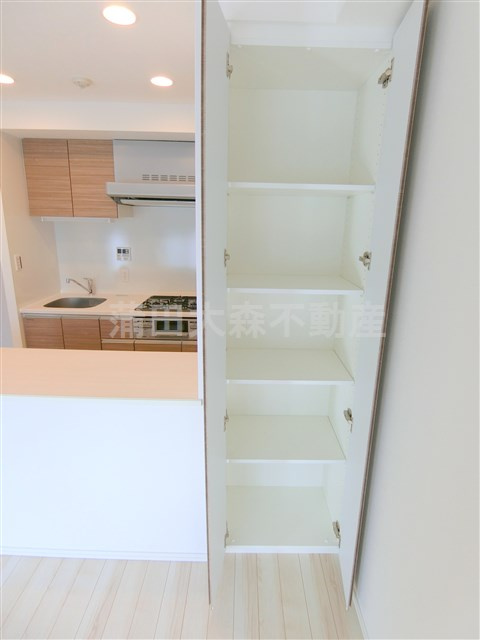 アイル グランデ南大井の収納|リビングカウンターキッチンの収納