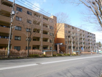 シルクフォルムの画像