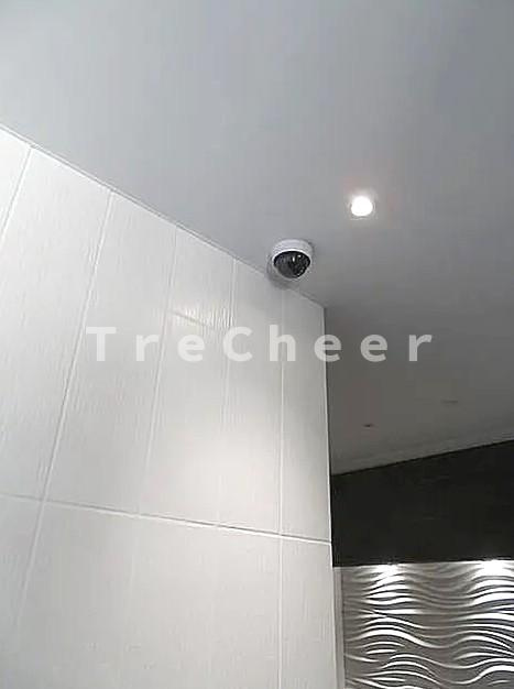 フェルクルール田端ルネサンスコートのセキュリティ