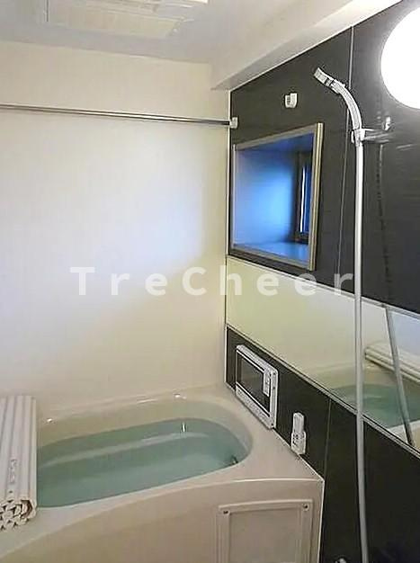 フェルクルール田端ルネサンスコートの浴室