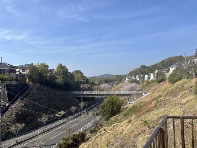 【展望】の画像