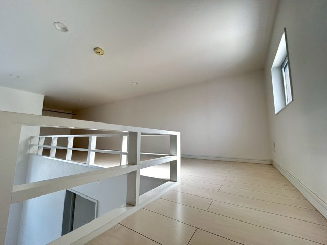 Sarang Mitoのその他