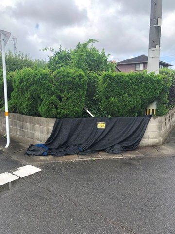 ラピエール亀崎の駐車場
