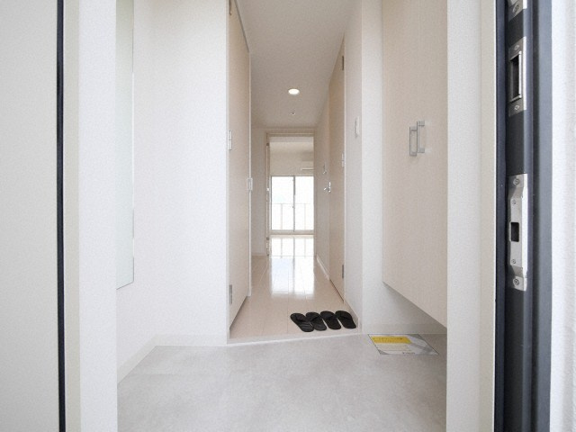 大阪市淀川区東三国１丁目の賃貸マンションの玄関