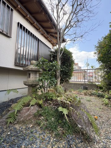 【庭】 | 片縄北6丁目中古戸建 | 中庭です。