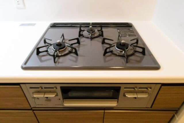 堀之内マンションのその他