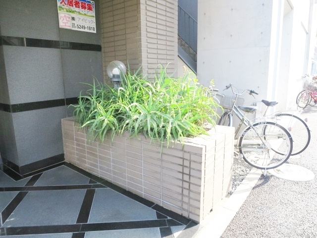 ヴェルメゾン赤羽のその他|植栽です☆