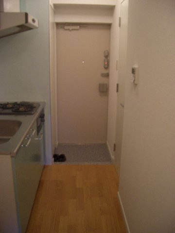 ミッツ・メロディアのその他