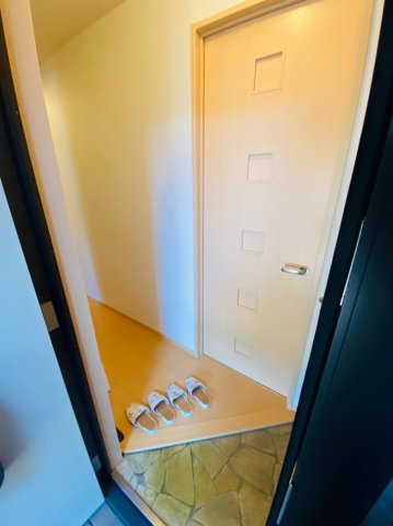 ヒルグレイスA棟の玄関|※同建物、別部屋画像