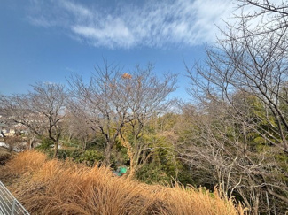 【展望】 | 廿日市市阿品台１　（阿品東電停）【全2区画】NO2　平屋 | お家からの見晴らし