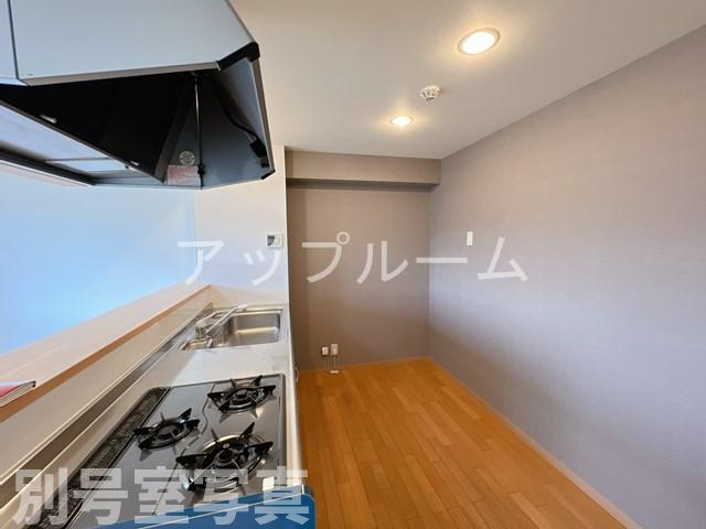 La,Bolsonのその他
