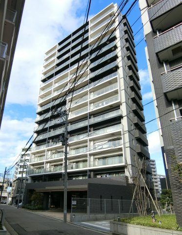 ダイアパレス笹口けやき通りNEXTの外観