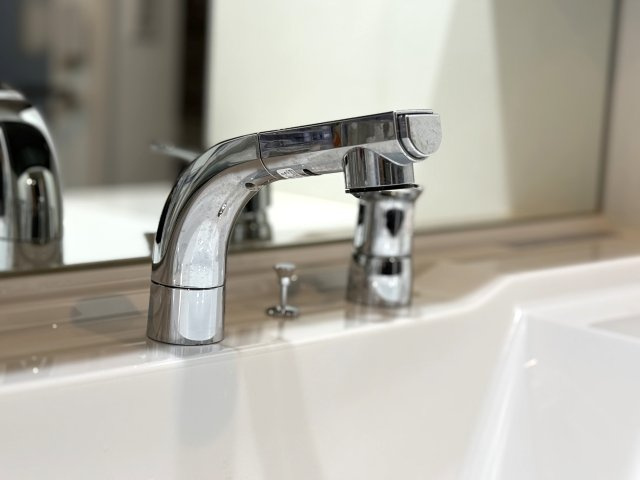 ダイアパレス笹口けやき通りNEXTの洗面所