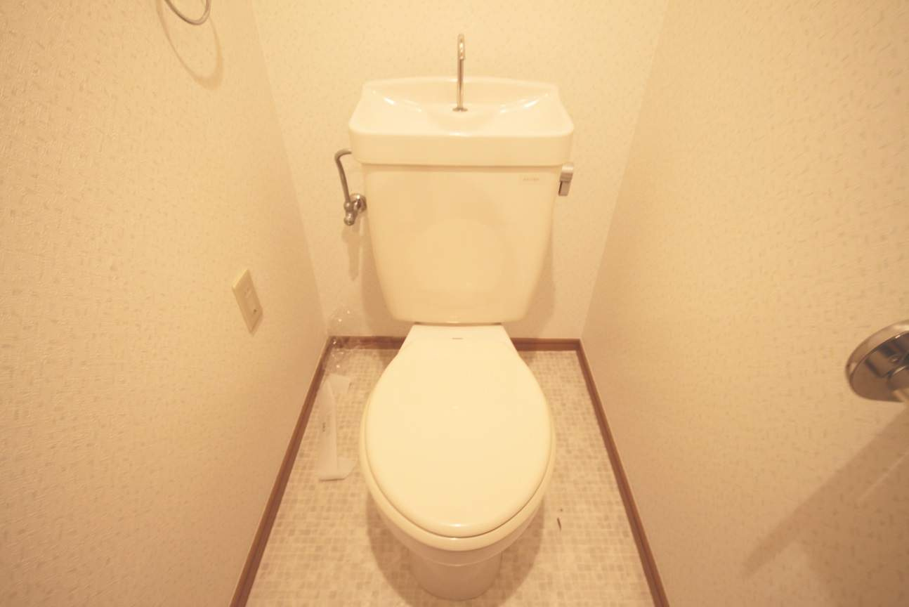 フローラルハイツ大道P-Ⅱのトイレ|※同建物の類似写真となります。