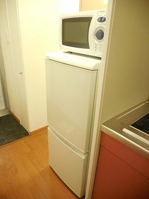 レオパレス人形のその他|冷蔵庫、電子レンジ付き