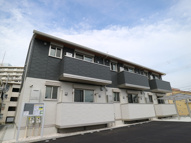 オルテンシアの画像