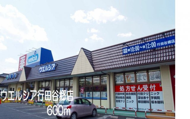 カリ－ノの周辺|ウエルシア行田谷郷店まで600m