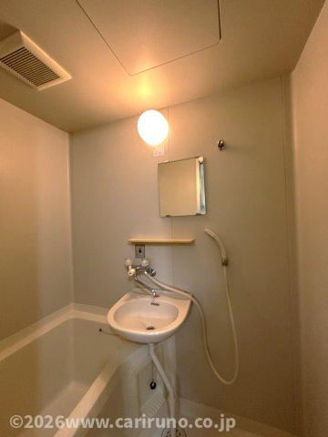 メゾンサチィエールの洗面所