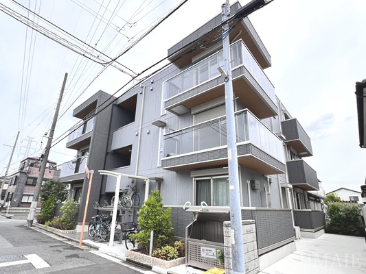 カサベルテ鹿骨