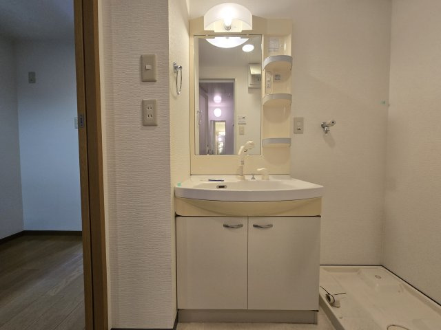 あいさきがけ|名古屋市の賃貸ならMy賃貸の洗面所|あいさきがけ
